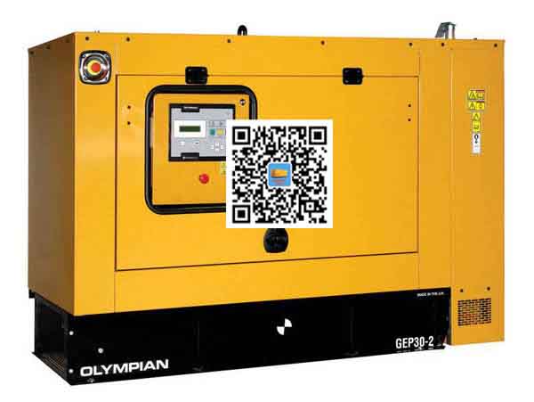 新野出租发电机组配置有哪些重要特点